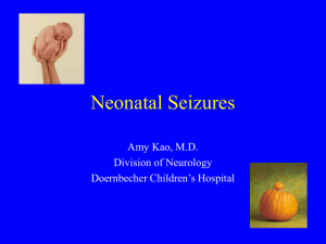 Neonatal Seizures Amy Kao, M.D. Division of Neurology Doernbecher Children’s Hospital