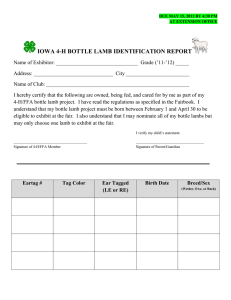 IOWA 4-H BOTTLE LAMB IDENTIFICATION REPORT