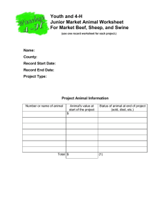 Youth and 4-H Junior Market Animal Worksheet