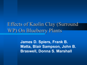Effects of Kaolin Clay (Surround WP) On Blueberry Plants