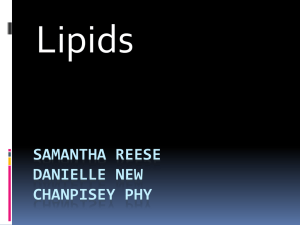 Lipids SAMANTHA REESE DANIELLE NEW CHANPISEY PHY