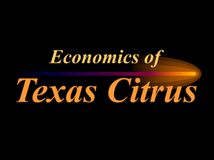 Texas Citrus Economics of