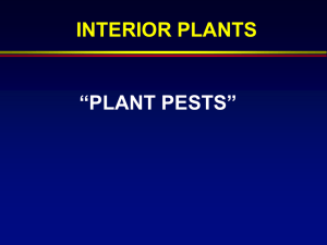 “PLANT PESTS” INTERIOR PLANTS