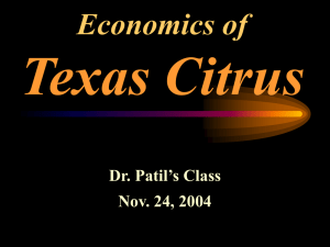 Texas Citrus Economics of Dr. Patil’s Class Nov. 24, 2004