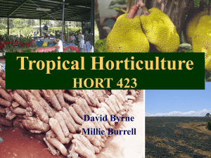 Tropical Horticulture HORT 423 David Byrne Millie Burrell