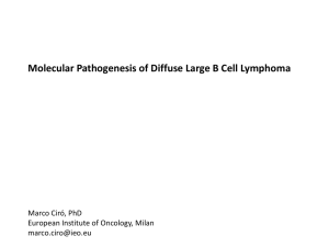 Molecular Pathogenesis of Diffuse Large B Cell Lymphoma Marco Ciró, PhD