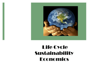 Life Cycle Sustainability Economics