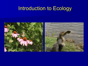 Introduction to Ecology