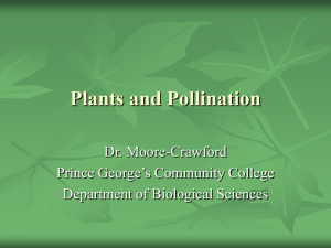 Plants and Pollination Dr. Moore-Crawford Prince George’s Community College Department of Biological Sciences