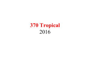 370 Tropical 2016
