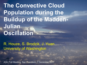 The Convective Cloud Population during the Buildup of the Madden- Julian