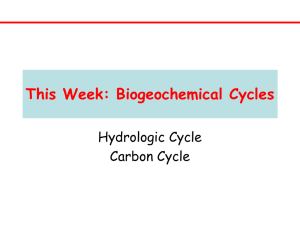 This Week: Biogeochemical Cycles Hydrologic Cycle Carbon Cycle