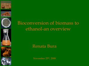 Bioconversion of biomass to ethanol-an overview Renata Bura November 25