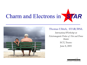 Charm and Electrons in Thomas Ullrich,  STAR/BNL International Workshop on
