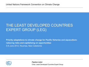 THE LEAST DEVELOPED COUNTRIES EXPERT GROUP (LEG)