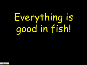 Everything is good in fish! 1