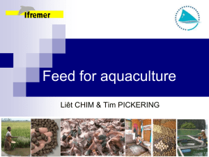 Feed for aquaculture Liêt CHIM &amp; Tim PICKERING