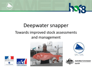 Deepwater snapper Towards improved stock assessments and management