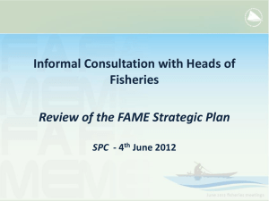 Informal Consultation with Heads of Fisheries Review of the FAME Strategic Plan SPC
