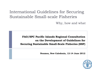 International Guidelines for Securing Sustainable Small-scale Fisheries Why, how and what