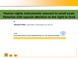 Human rights instruments relevant to small scale