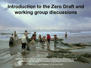 Introduction to the Zero Draft and working group discussions
