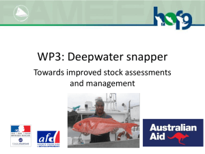 WP3: Deepwater snapper Towards improved stock assessments and management