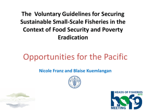 The  Voluntary Guidelines for Securing Sustainable Small-Scale Fisheries in the