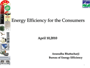 Energy Efficiency for the Consumers April 10,2010 Anuradha Bhattacharji Bureau of Energy Efficiency