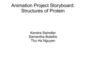 Animation Project Storyboard: Structures of Protein Kendra Swindler Samantha Botelho