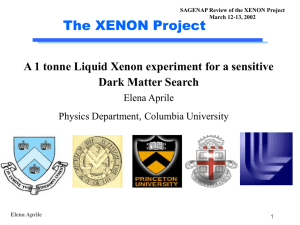 The XENON Project Dark Matter Search Elena Aprile