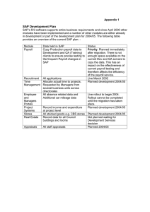 SAP Development Plan