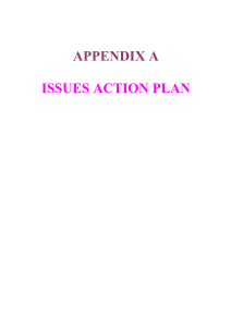 APPENDIX A ISSUES ACTION PLAN