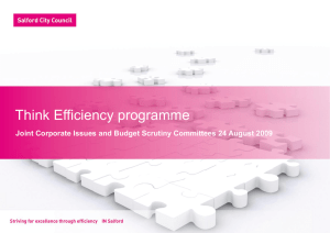 Think Efficiency programme