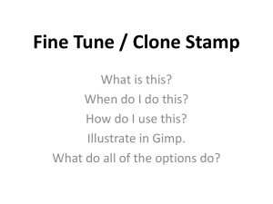 Fine Tune / Clone Stamp What is this?