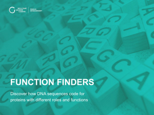 FUNCTION FINDERS Discover how DNA sequences code for yourgenome.org