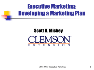 Executive Marketing: Developing a Marketing Plan Scott A. Mickey