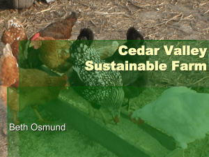 Cedar Valley Sustainable Farm Beth Osmund