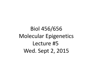 Biol 456/656 Molecular Epigenetics Lecture #5 Wed. Sept 2, 2015