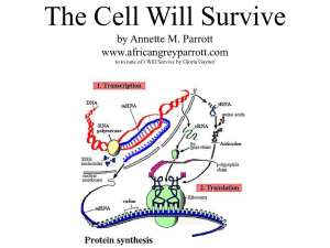 The Cell Will Survive by Annette M. Parrott www.africangreyparrott.com