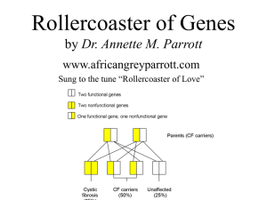Rollercoaster of Genes Dr. Annette M. Parrott www.africangreyparrott.com