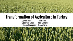 Transformation of Agriculture in Turkey