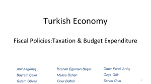 Turkish Economy Fiscal Policies:Taxation &amp; Budget Expenditure