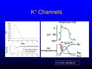 K Channels + 4/12/05, MCB610