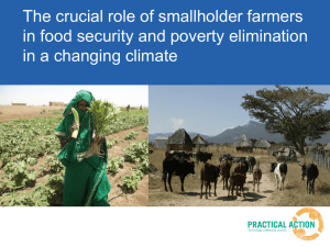 The crucial role of smallholder farmers in a changing climate
