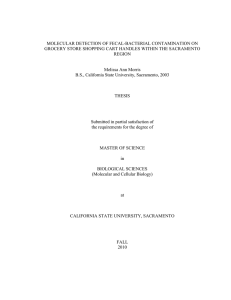 MOLECULAR DETECTION OF FECAL-BACTERIAL CONTAMINATION ON
