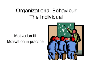 Organizational Behaviour The Individual Motivation III Motivation in practice