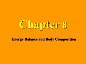 Chapter 8 Energy Balance and Body Composition