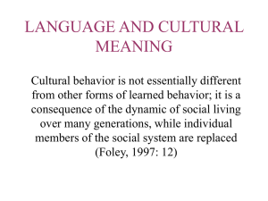 LANGUAGE AND CULTURAL MEANING