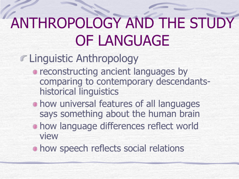 linguistic anthropology definition